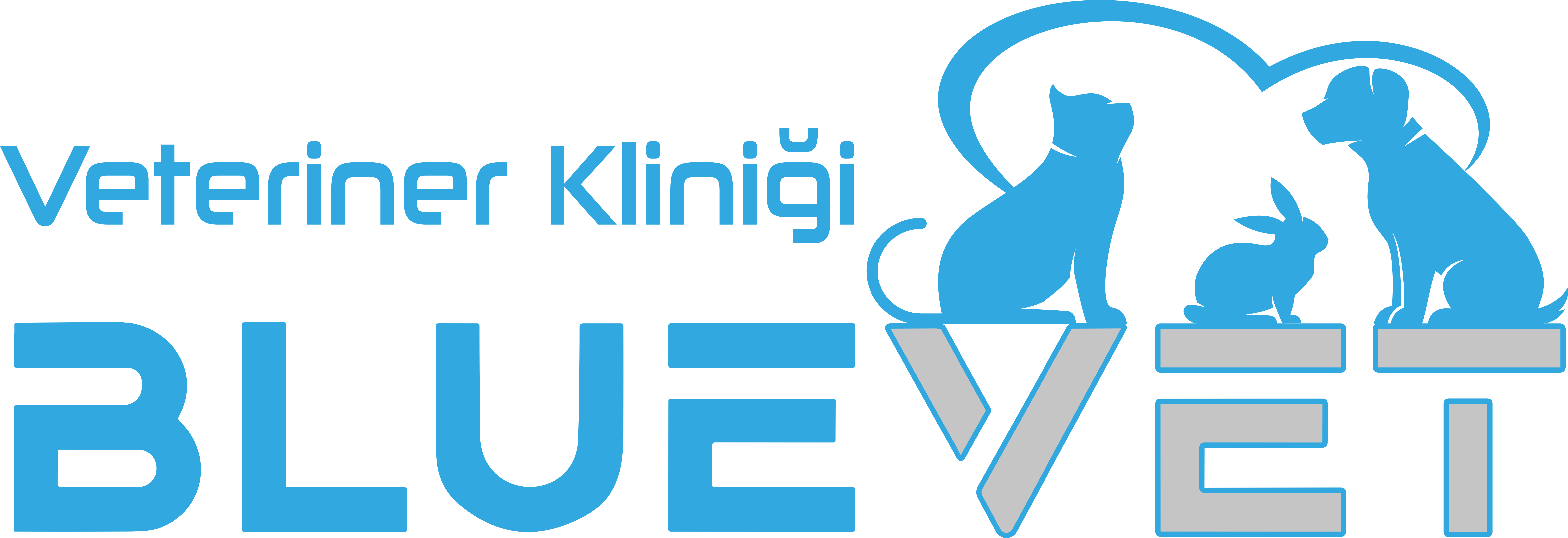 BlueVet Logo